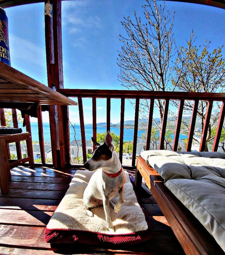 Mobile Home FantaSea photo 4