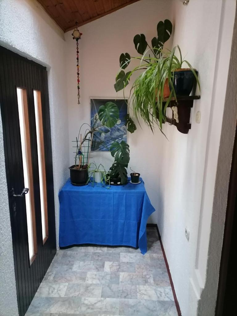 Apartman Zepina photo 1