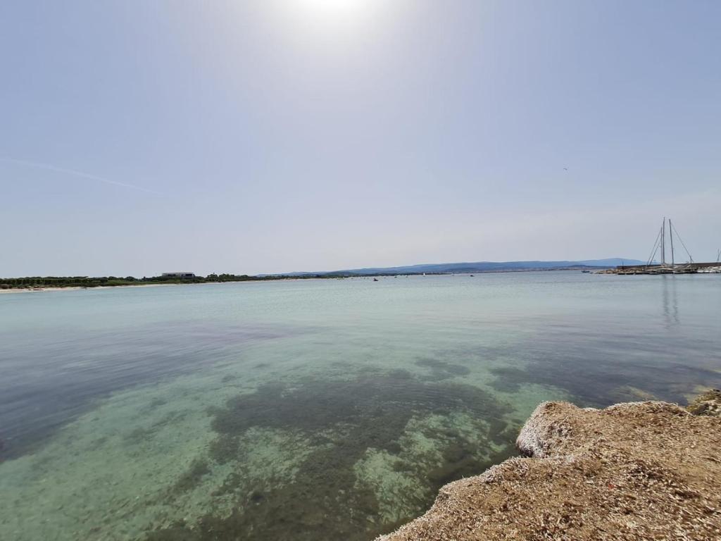 LUPA - La flotta di Willy Giò photo 4