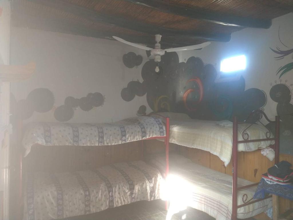 Eco Hostel Valle Fertil photo 1