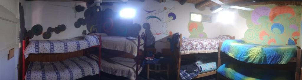 Eco Hostel Valle Fertil photo 3
