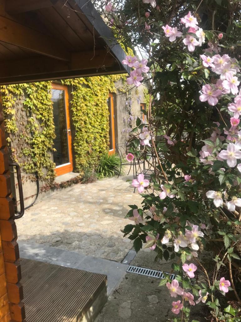 Seaside Cottage photo 2