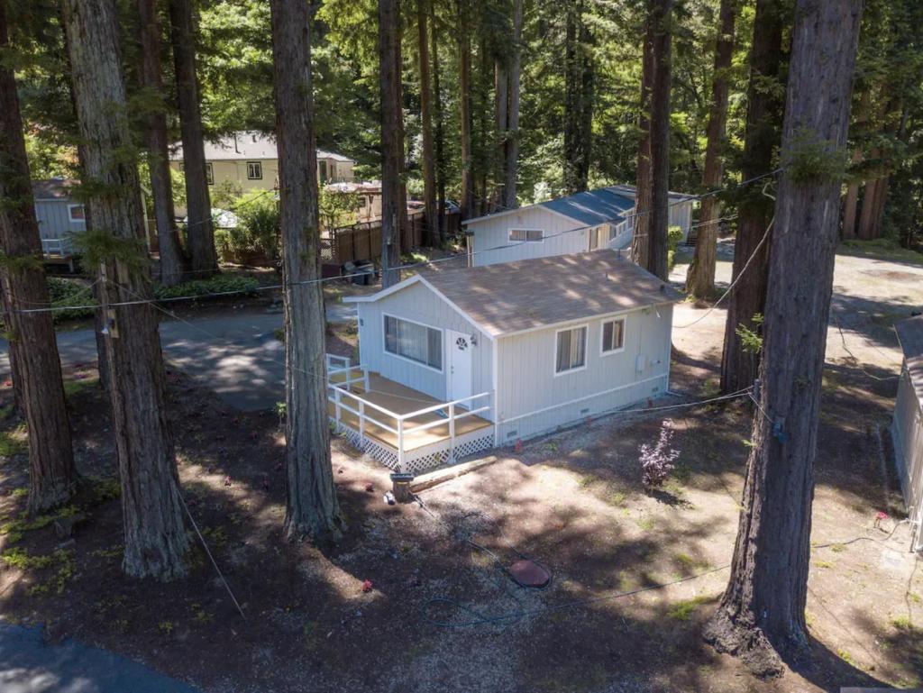 Masood's Lodge image