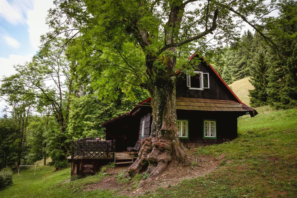 Chaloupka Prischlop photo 3