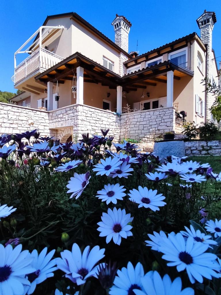 Danijela Rovinj sea view and free parking photo 2