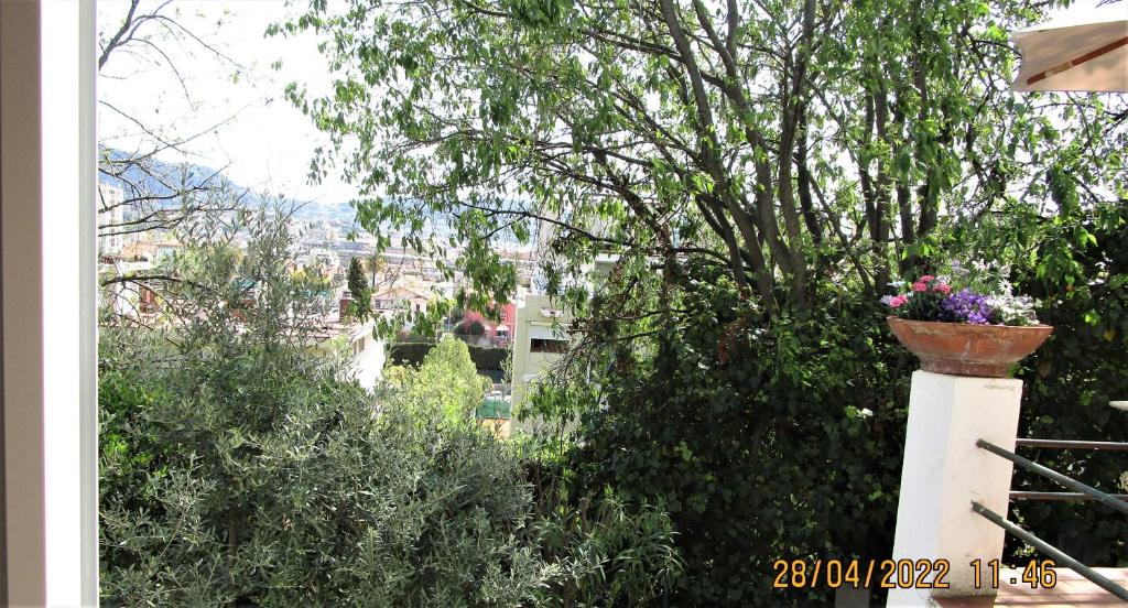 NICE - STUDIO indépendant en VILLA - Mer ville calme jardinet photo 4