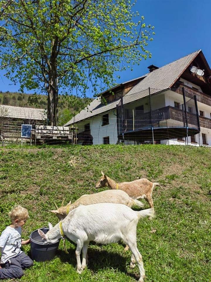 Turistična kmetija Pri Andreju photo 2
