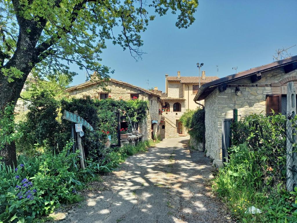 B&B TorreMatta photo 3