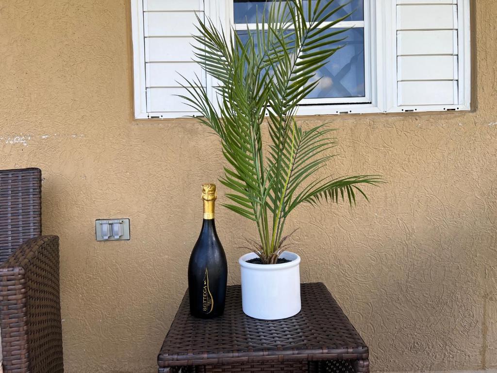 Tropix Villa photo 4