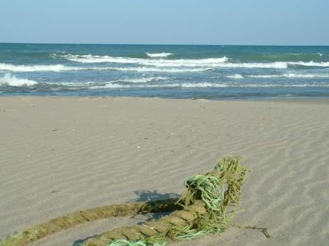 Soprattutto photo 4