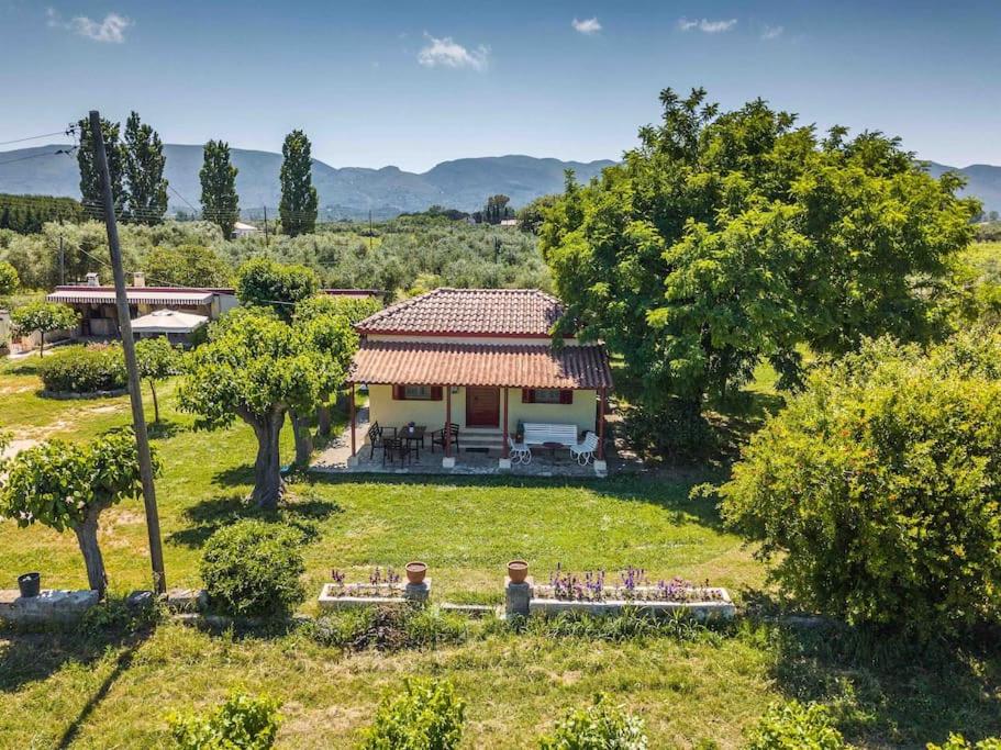 Authentic Country House in Zakynthos photo 1