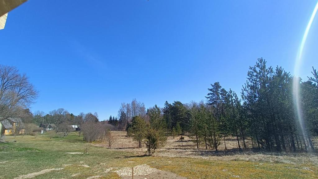 Rangi Suvemaja photo 2