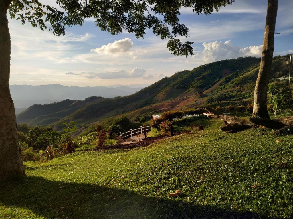Ban Chomdoi Resort PhaTang photo 4