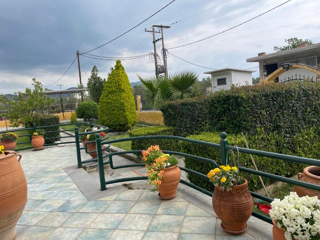 Seaside apartment with private garden photo 4