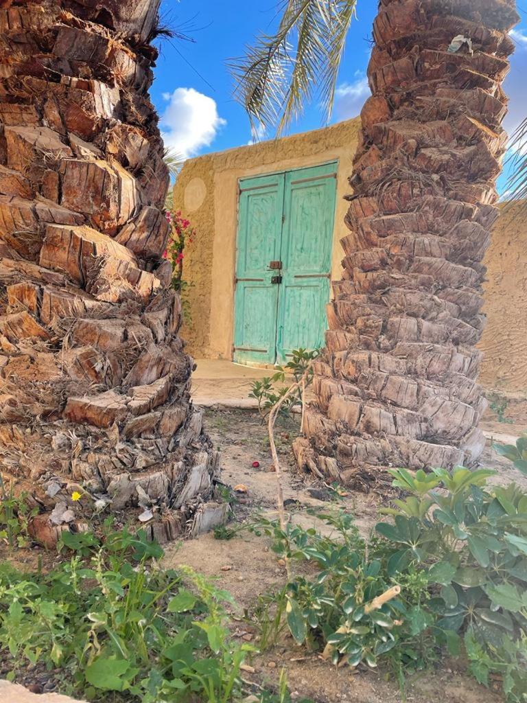 Sleep In Siwa photo 2