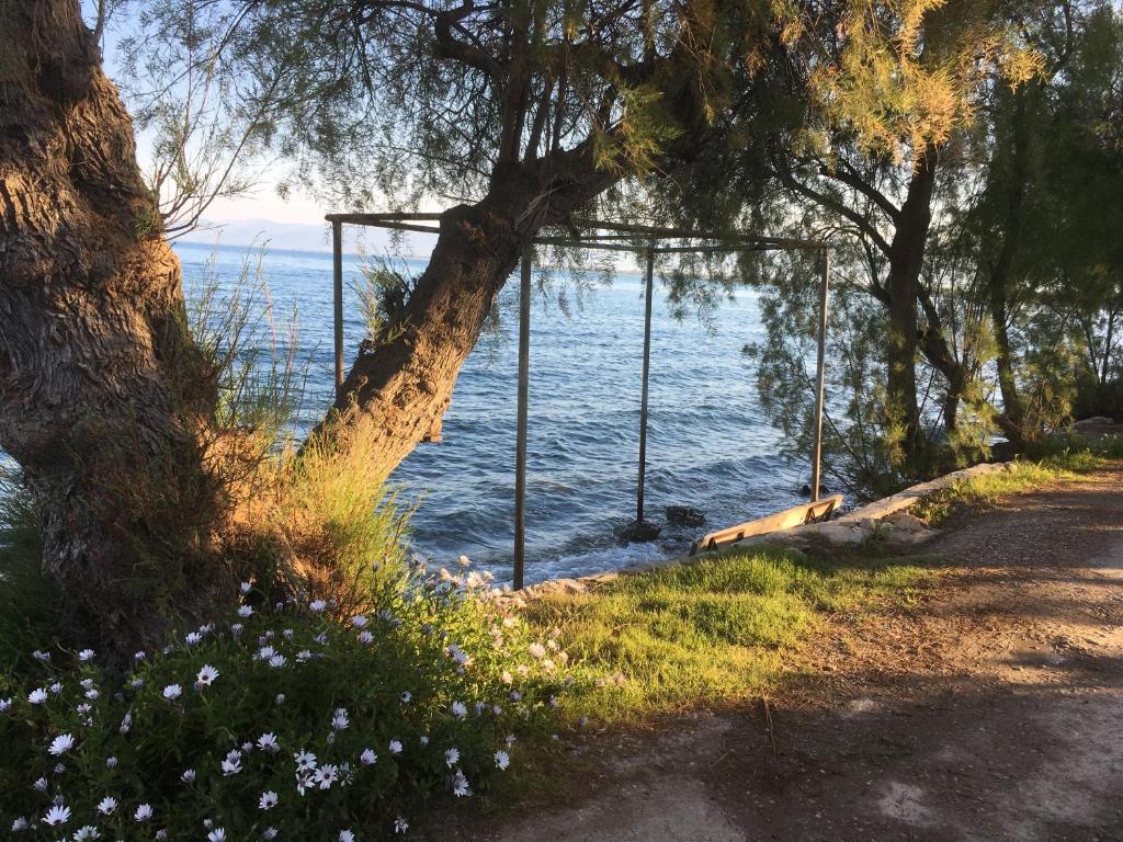 Seaside apartment with private garden photo 2