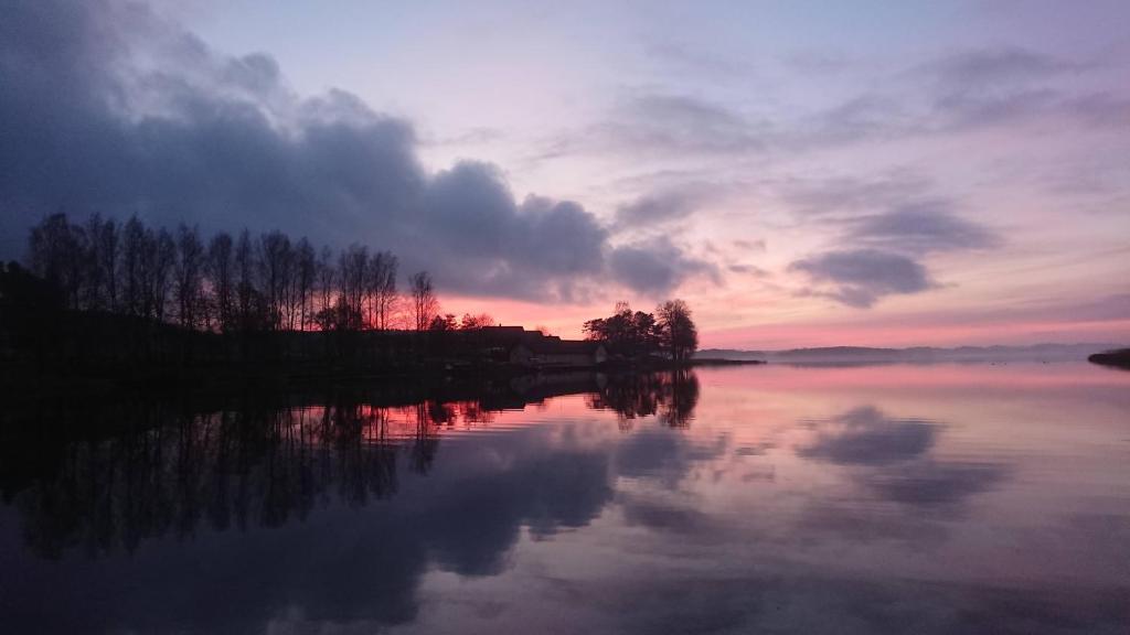 Lūšių vėjas photo 2