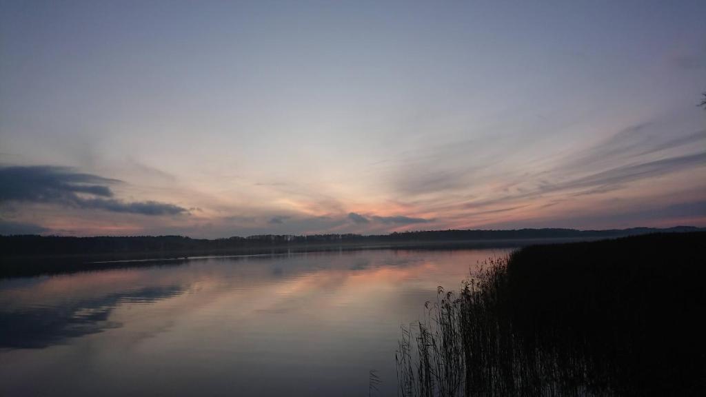 Lūšių vėjas photo 1