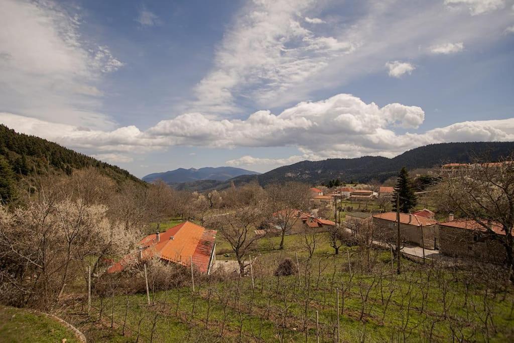 Pavliani Mountain Home photo 1