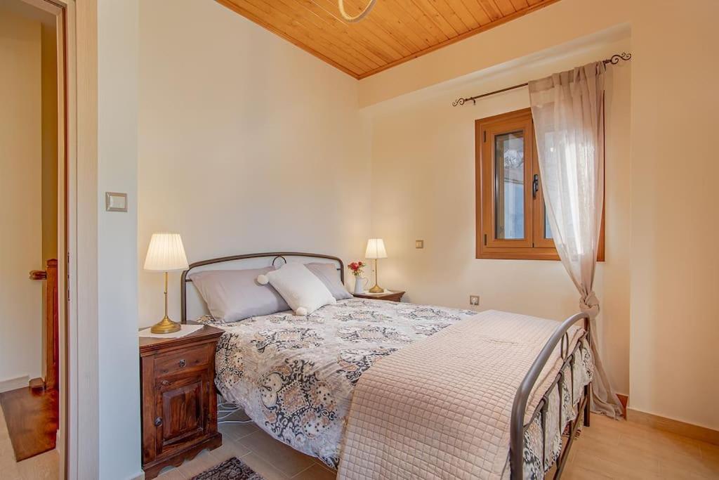 Pavliani Mountain Home photo 4