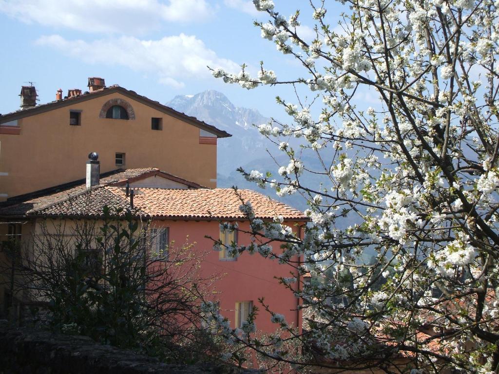 Nel Cielo... di Barga photo 4