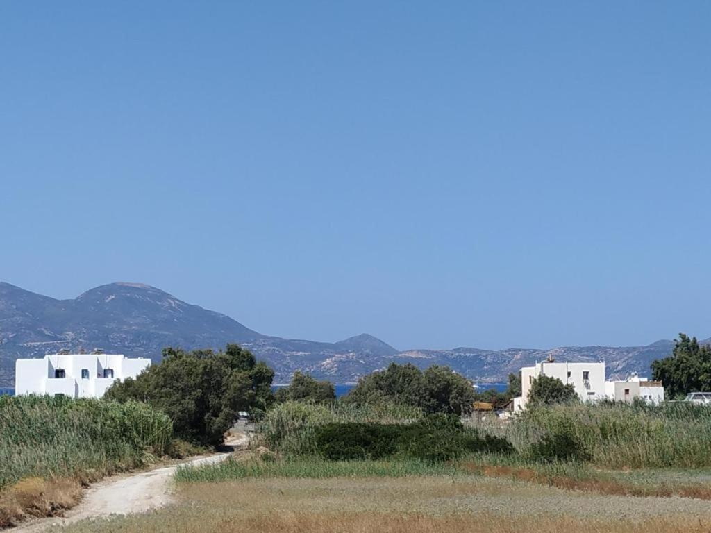 Papikinou Studios photo 1