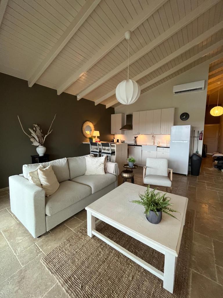 Bonairean Lofts photo 4