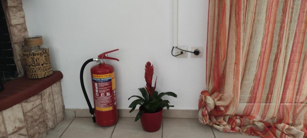 Fani's apartments 3 photo 4