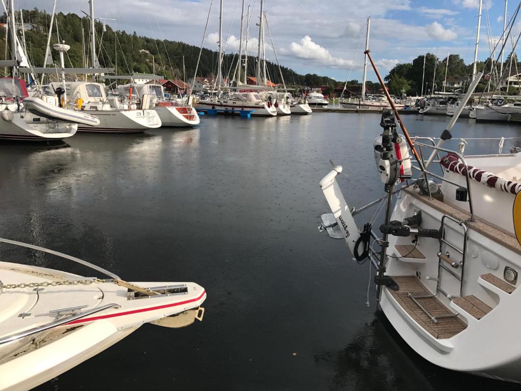 Apartments in Henån photo 2
