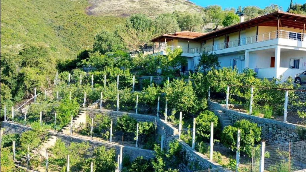 Philoxenia guest house photo 1