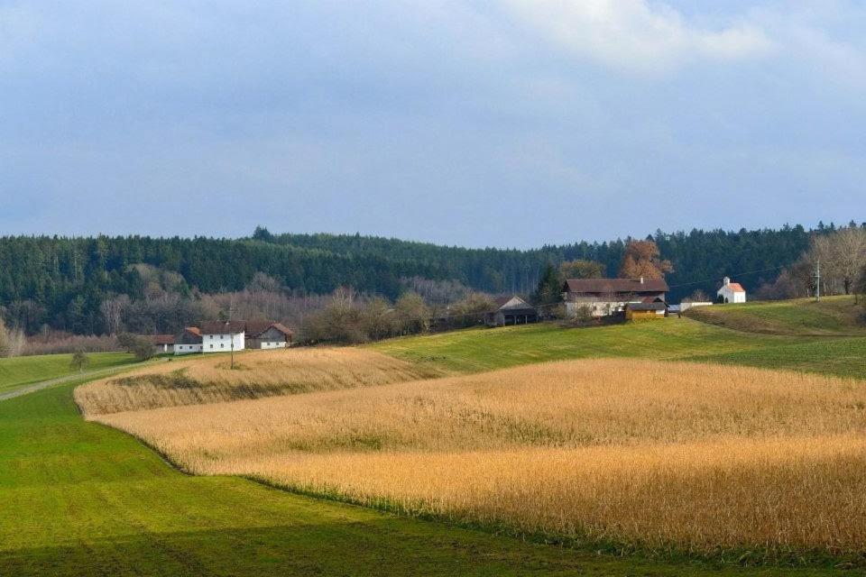 Ferienhaus Ederhof - Idyllischer Vierseithof, kinder- und hundefreundlich, Referenzen auf FeWo-direkt nachlesbar photo 3