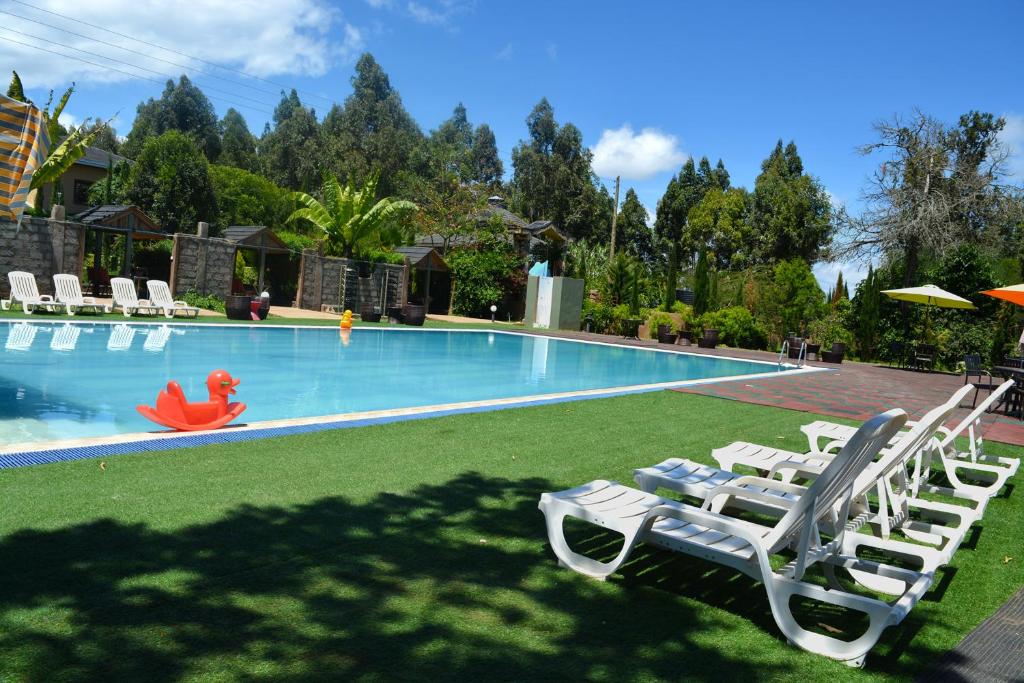 Misty Mountain Lodge photo 1