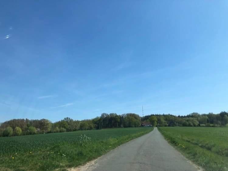katshof photo 2