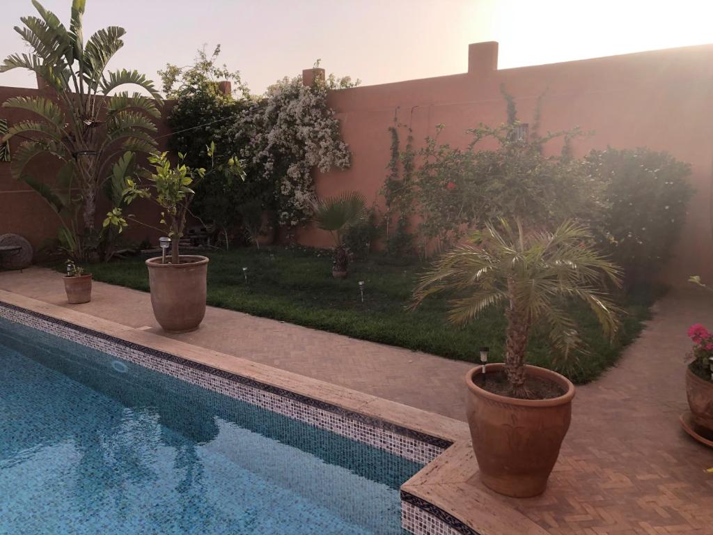 Riad SOUS LES ETOILES photo 4