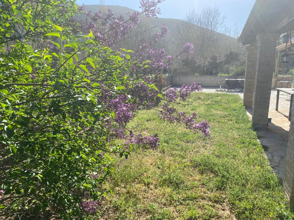 Poliani Village photo 3