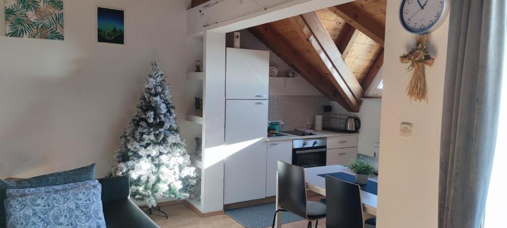 Kuća za odmor Pio photo 4
