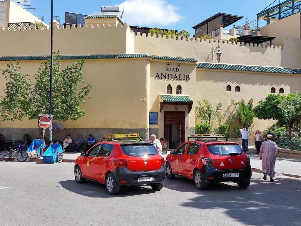 Riad Andalib photo 1