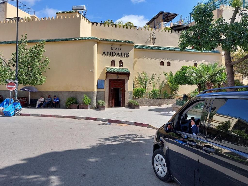 Riad Andalib photo 2