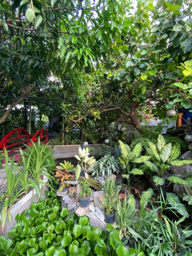 Casa Cecilia Hotel photo 2