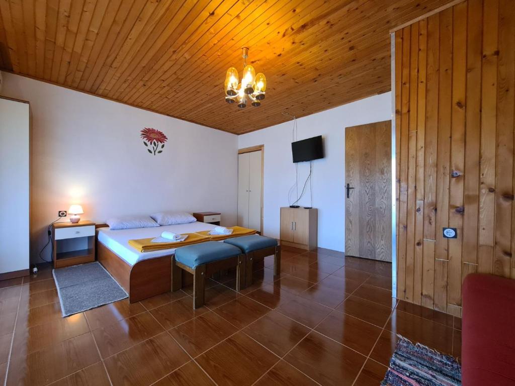 Apartments Zlatko 1397 photo 3