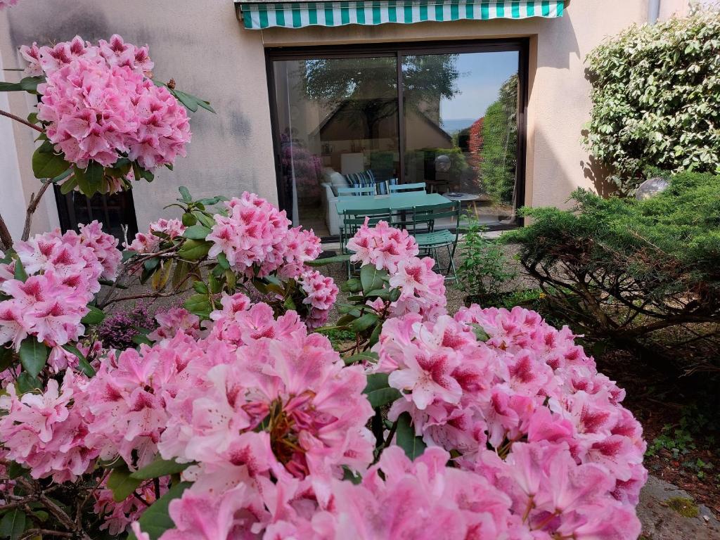 Le DenysPuech 55m2 plein centre avec jardin! photo 1
