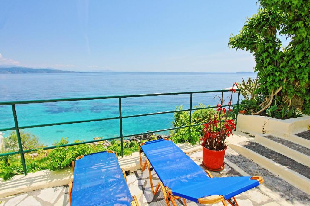 Sea Front Studio Alexandra photo 4