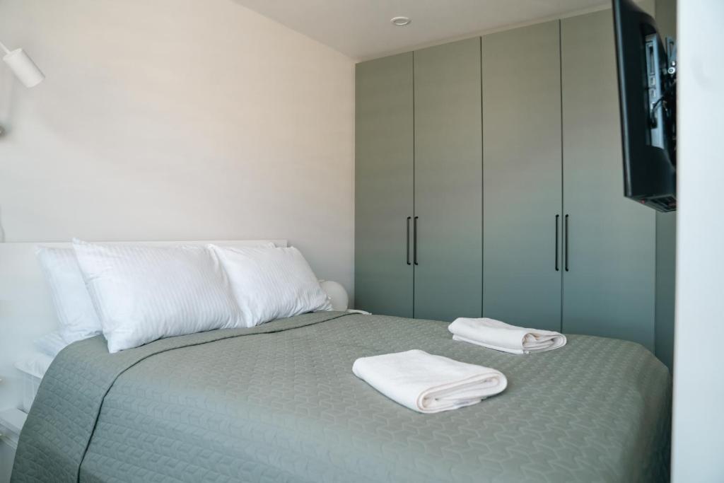 Grey Green Studio Apartment photo 4