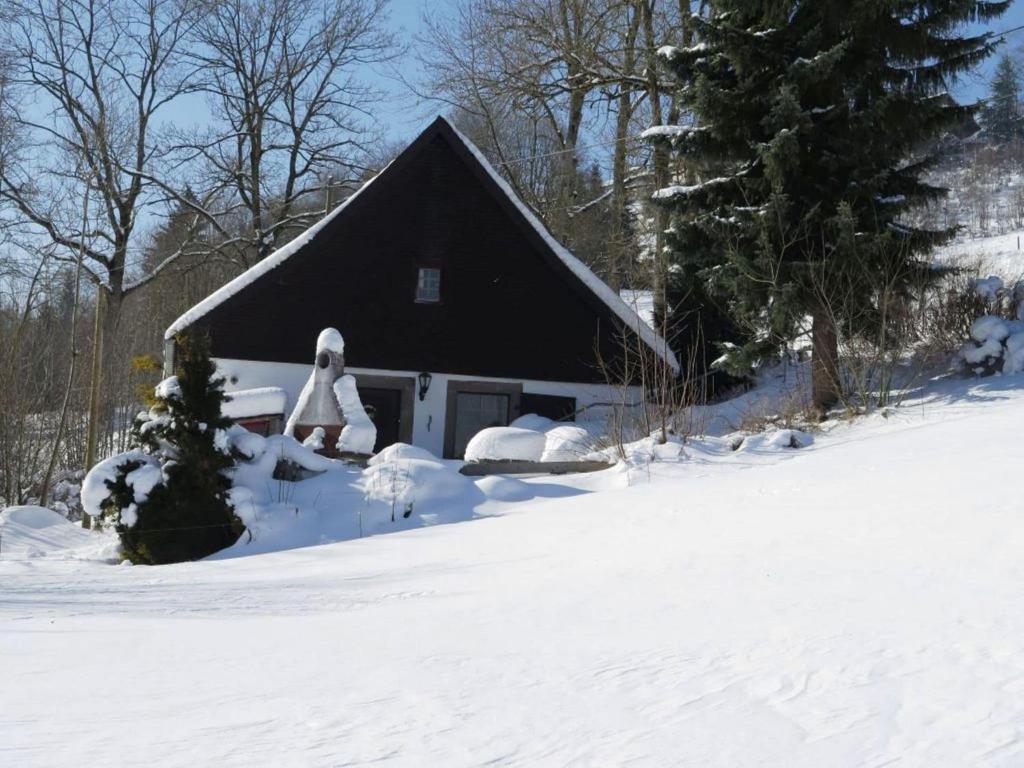 Detached and cozy holiday home with terrace in the Black Forest photo 1