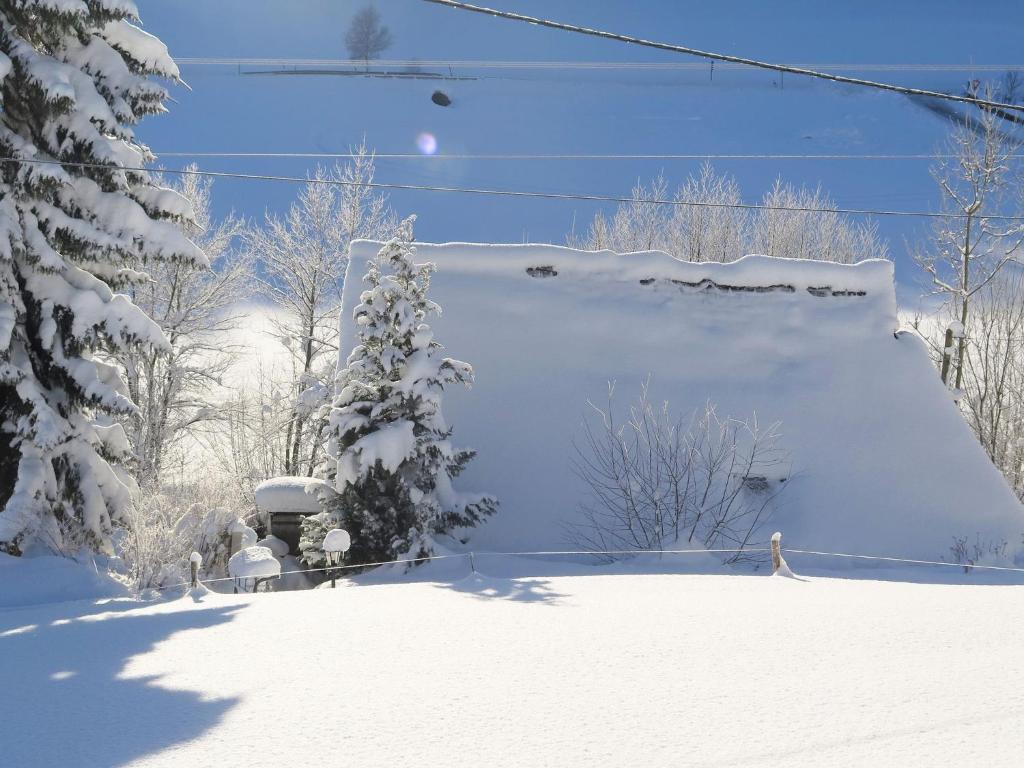 Detached and cozy holiday home with terrace in the Black Forest photo 4
