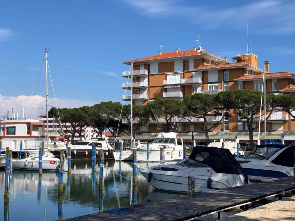 Studio in Porto Santa Margherita 42877 photo 3