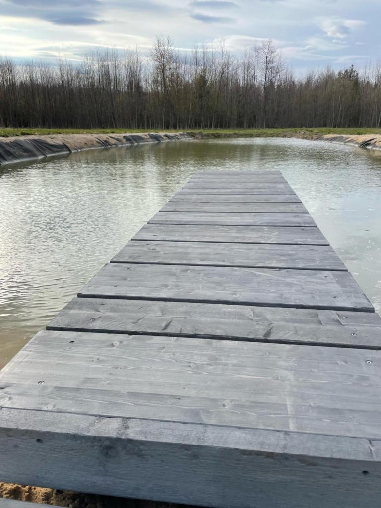 Sauna ja nelja magamistoaga Kasemäe puhketalu photo 4