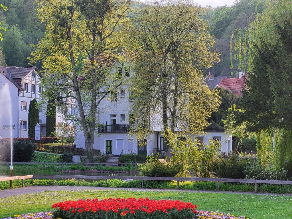 Parkhotel Am Schwanenteich photo 1