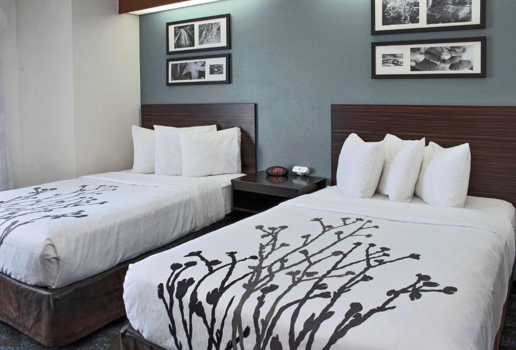 Sleep Inn Lake Wright photo 4