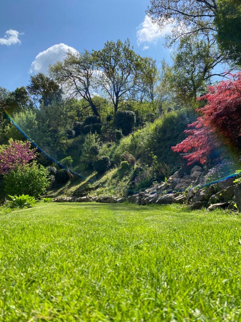 CASA468 photo 1